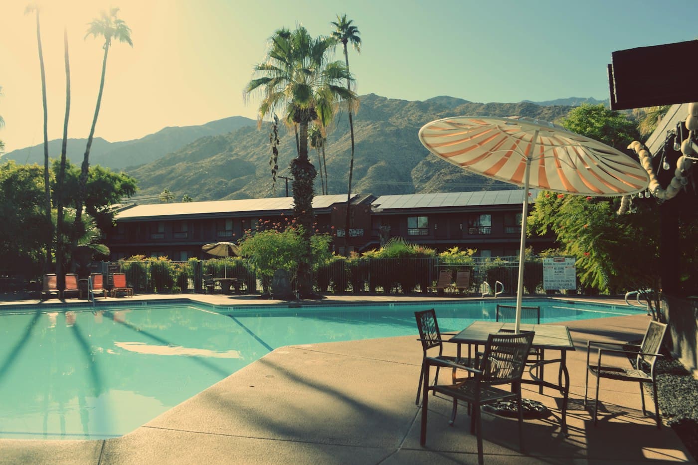 Pool with parasols and palms, Palm Springs